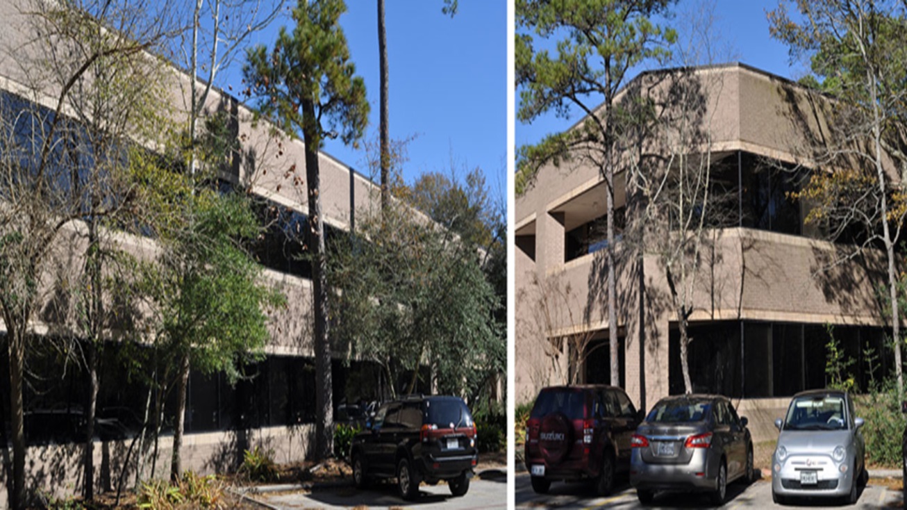 10655-six-pines-845x321